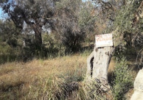 nella foto vediamo un terreno agricolo in Presicce